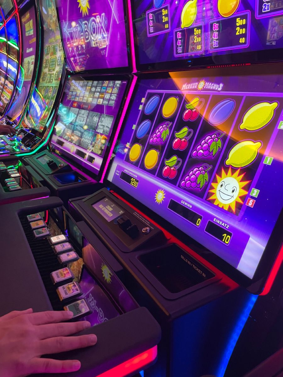 پاکستان کے نئے Animal Gamesکیسینو کھلاڑیوں کے لیے خوش آمدید بونس